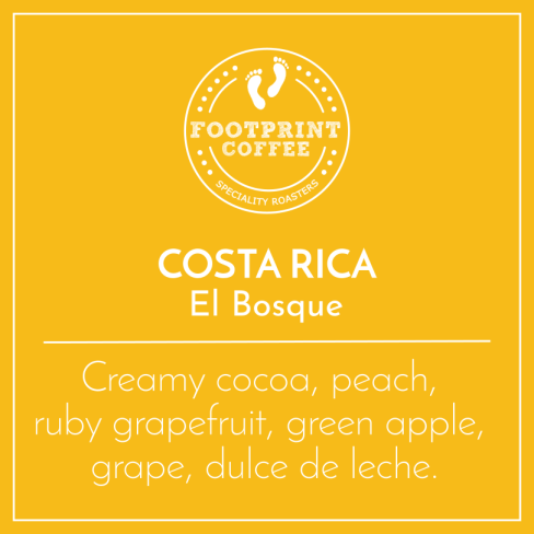 Costa Rica - El Bosque