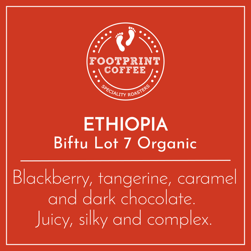 Ethiopia - Biftu Lot 7 Organic