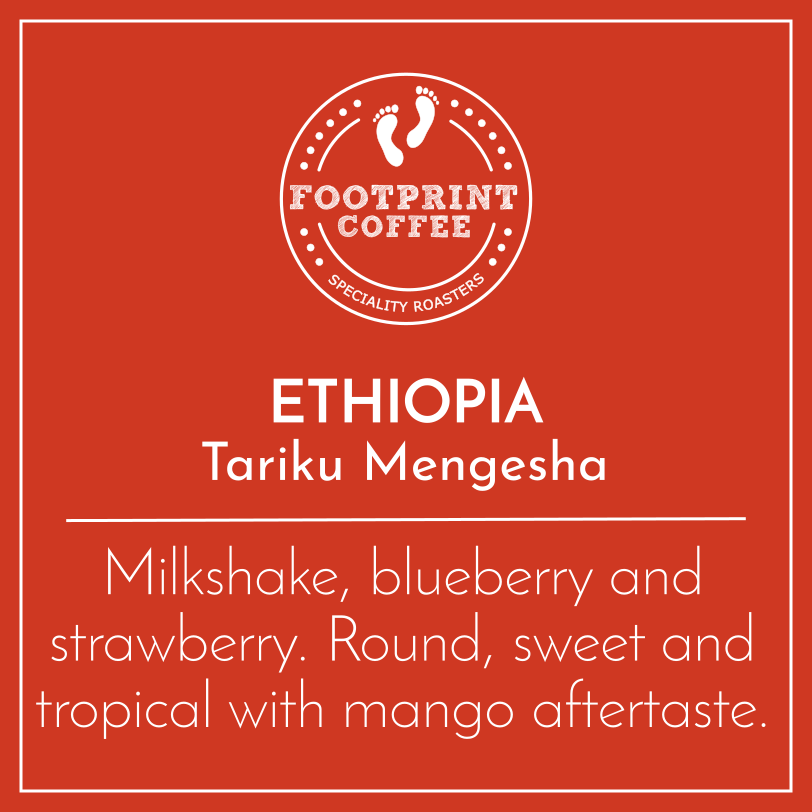 Ethiopia - Tariku Mengesha