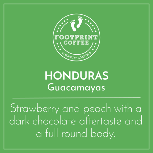 Honduras - Guacamayas