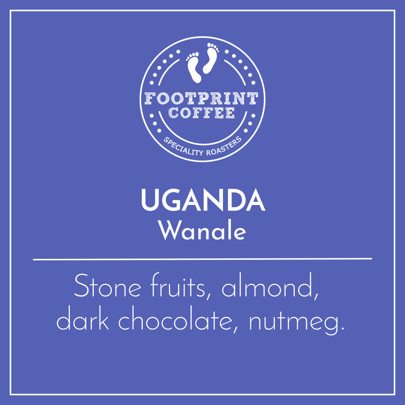 Uganda - Wanale by Footprint Coffee